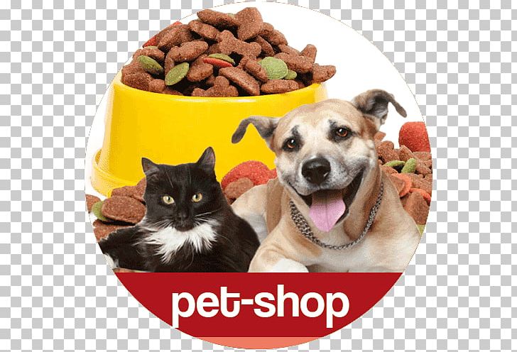 Dog Cat Rainbow Bridge Pet Shop PNG, Clipart, Adoption, Animal, Animal Loss, Cat, Cat Like Mammal Free PNG Download