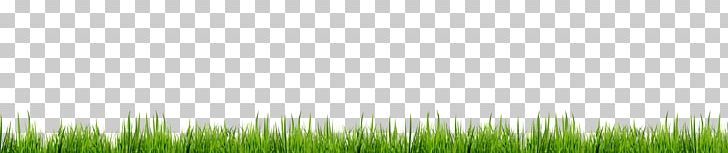 Grasses Lawn Energy PNG, Clipart, Angle, Border, Border Frame, Certificate Border, Computer Free PNG Download