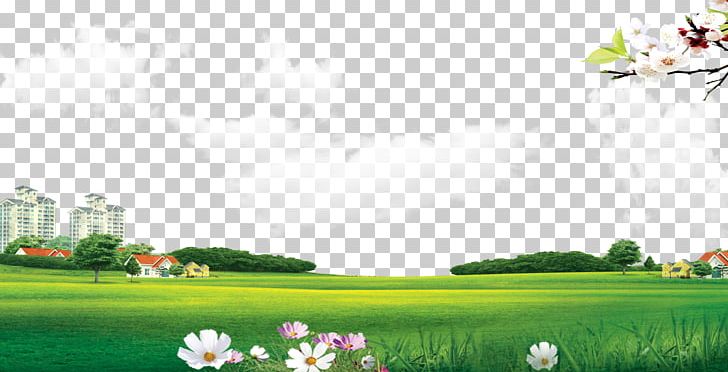 Lawn Meadow PNG, Clipart, Artificial Grass, Blue, Cartoon, Cartoon Grass, Color Free PNG Download