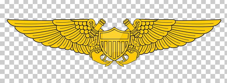 Naval Flight Officer United States Aviator Badge United States Navy United States Naval Aviator PNG, Clipart, 0506147919, Aircrew Badge, Army Officer, Astronaut Badge, Aviator Badge Free PNG Download