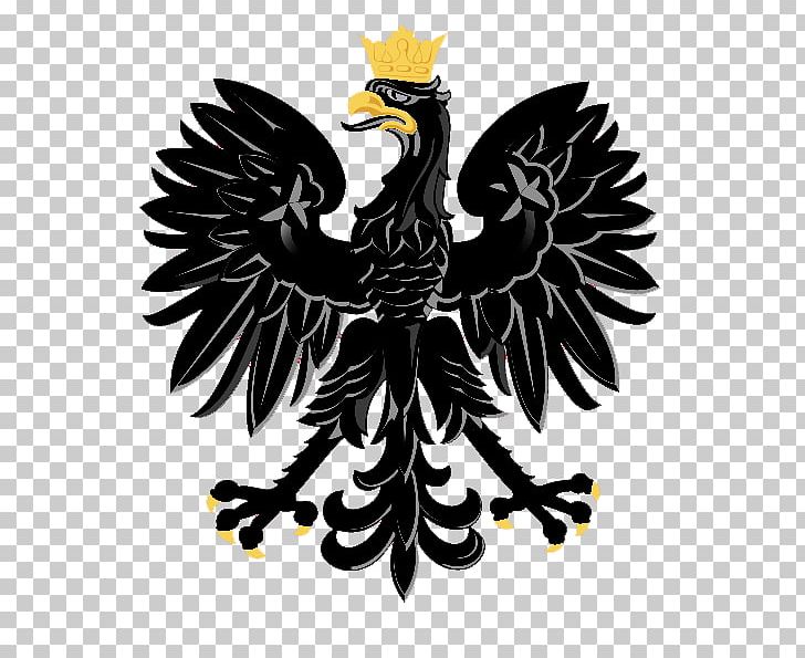 Coat Of Arms Of Poland Eagle T-shirt Flag PNG, Clipart, Beak, Bird, Bird Of Prey, Chicken, Coat Of Arms Free PNG Download