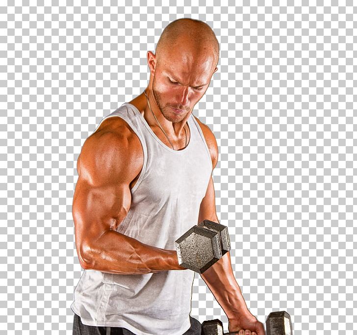 Squat Strength Training Deadlift Shoulder PNG, Clipart, Abdomen, Arm, Biceps Curl, Bodybuilder, Bodybuilding Free PNG Download
