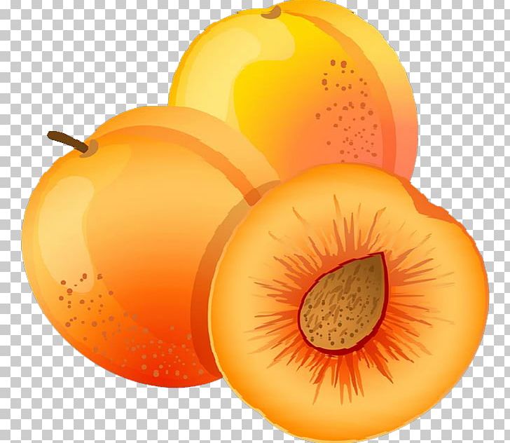 Apricot Fruit Peach PNG, Clipart, Apricot, Apricot Blossom Vector, Apricot Blossom Yellow, Apricot Flower, Apricots Free PNG Download
