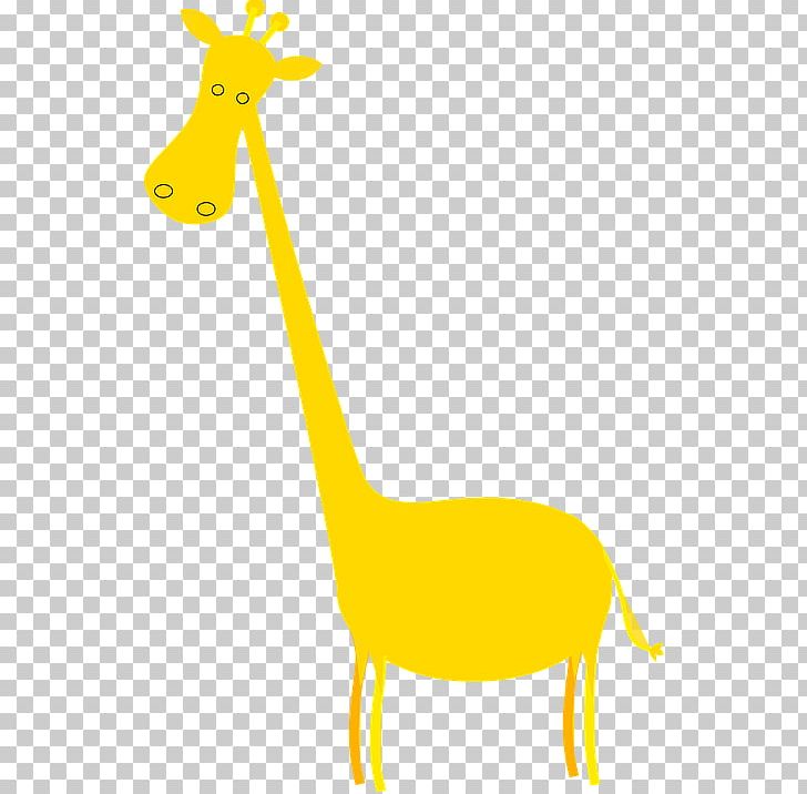 Baby Giraffes Red PNG, Clipart, Animal Figure, Animals, Baby Giraffes, Beak, Black And White Free PNG Download