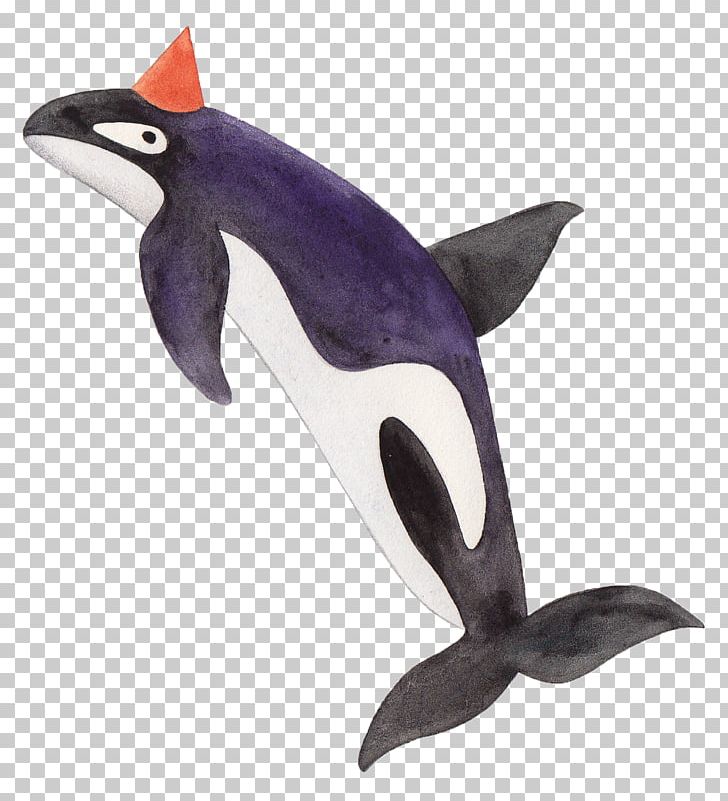 Library Grimsby Book Dolphin Killer Whale PNG, Clipart, Animal Figure, Book, Coupon, Craft, Dairy Queen Free PNG Download