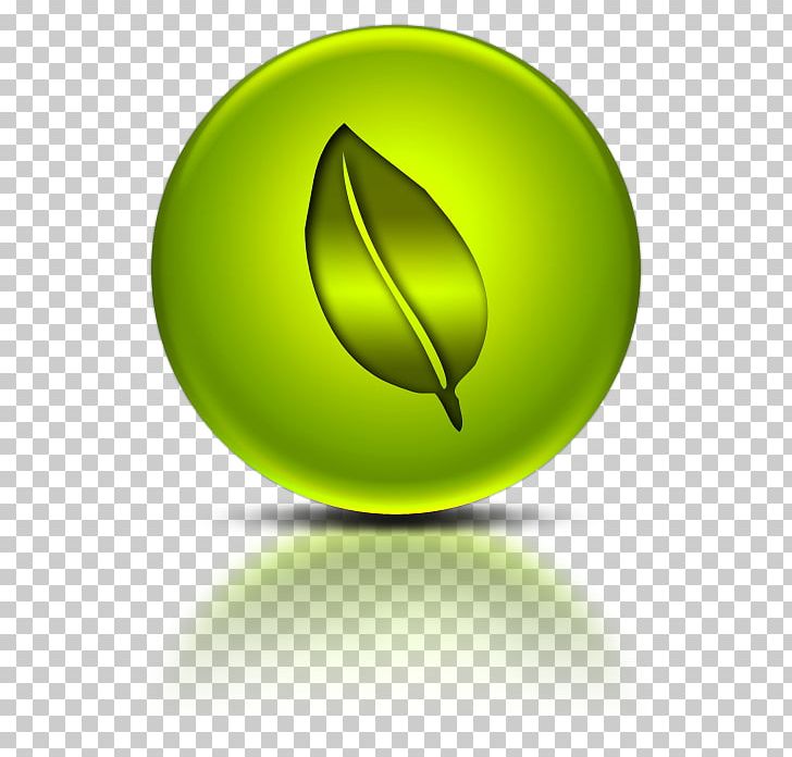 Forests PNG, Clipart, Brands, Business, Circle, Computer Wallpaper, Dotabuff Free PNG Download