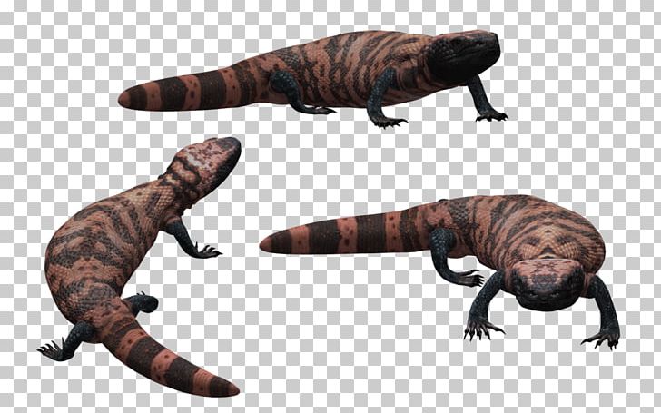Gila Monster Rendering PNG, Clipart, 3d Computer Graphics, 3d Modeling, Animal, Animal Figure, Computer Graphics Free PNG Download