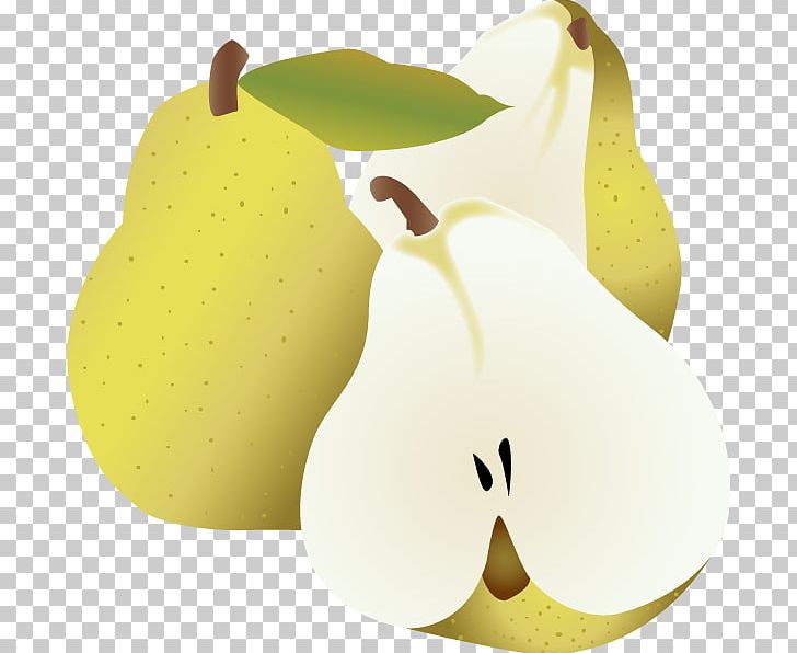 Pear Euclidean PNG, Clipart, Adobe Illustrator, Auglis, Delicious, Download, Encapsulated Postscript Free PNG Download