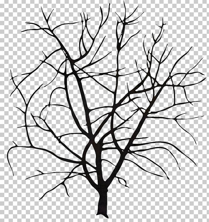 Wall Decal Tree Sticker Photography Monochrome PNG, Clipart, Artwork, Black And White, Branch, Decal, Flora Free PNG Download