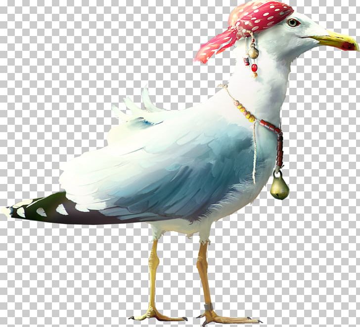 European Herring Gull Seabird Seabird PNG, Clipart, Animal, Animals, Beak, Bird, Breaking Wave Free PNG Download