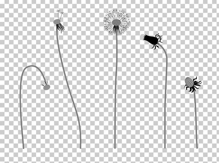 Flower Body Jewellery White PNG, Clipart, Black And White, Body Jewellery, Body Jewelry, Dandelion Vector, Flora Free PNG Download