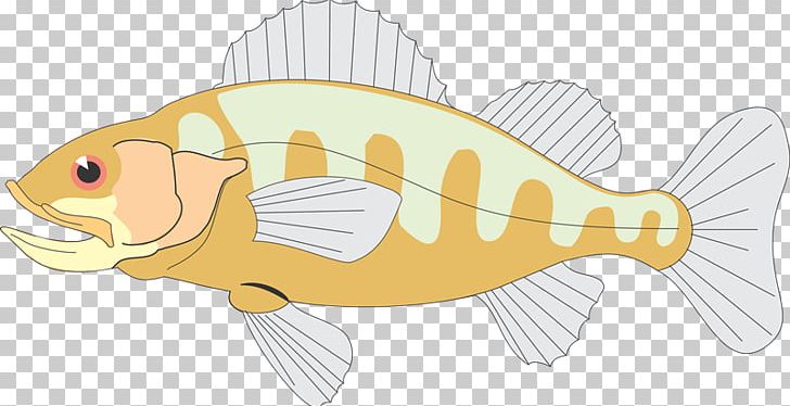 Food Chain Tail Fish PNG, Clipart, Animal Figure, Fauna, Fish, Food Chain, Line Art Free PNG Download