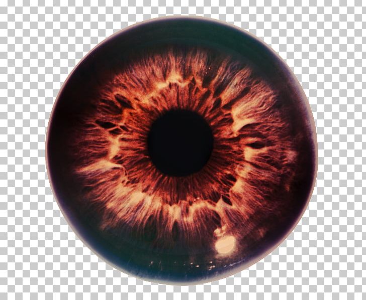 Iris Eye The Pupil Optic Nerve PNG, Clipart, Avatan, Avatan Plus, Blind Spot, Circle, Closeup Free PNG Download