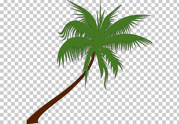 Palm Trees Coconut Open PNG, Clipart, Arecaceae, Arecales, Branch, Coconut, Computer Icons Free PNG Download