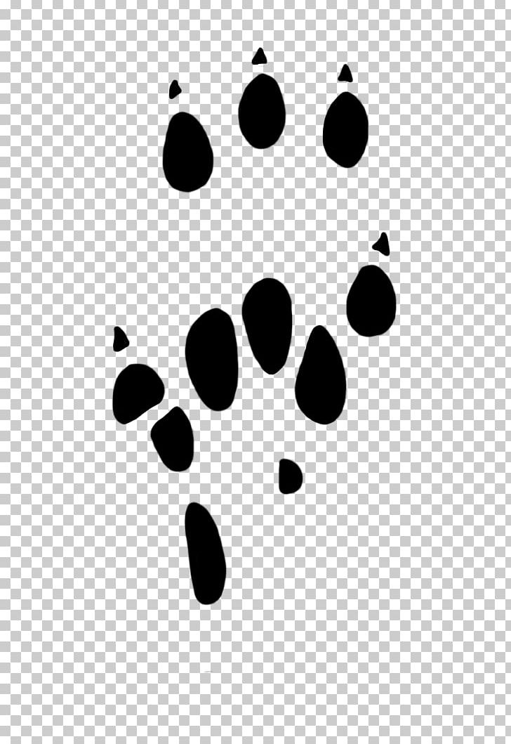 Paw Mouse Rat Terrier Black Rat PNG, Clipart, Animal, Animals, Animal Track, Black, Black And White Free PNG Download