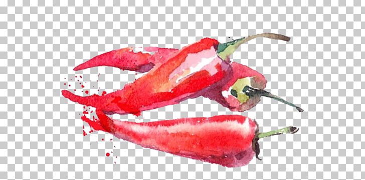 Watercolor Painting Vegetable Fruit Illustration PNG, Clipart, Bell Peppers And Chili Peppers, Cayenne Pepper, Chili Pepper, Chinese Style, Color Ink Free PNG Download