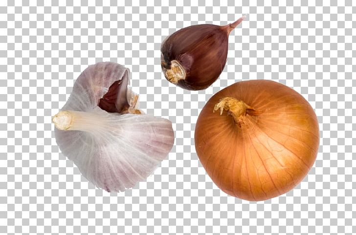 Yellow Onion Shallot Organic Food Garlic Spice PNG, Clipart, Bumbu, Cartoon Garlic, Chili Garlic, Cook, Cooking Free PNG Download