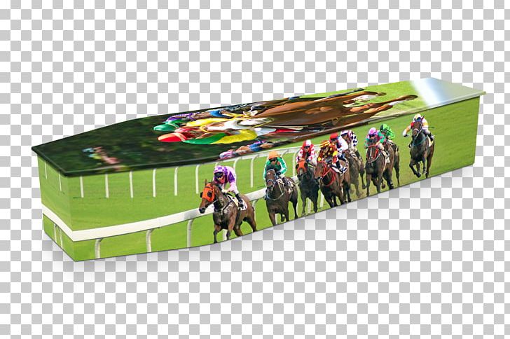 Coffin Horse Racing Funeral Home PNG, Clipart, Animals, Box, Cadaver, Coffin, Cremation Free PNG Download