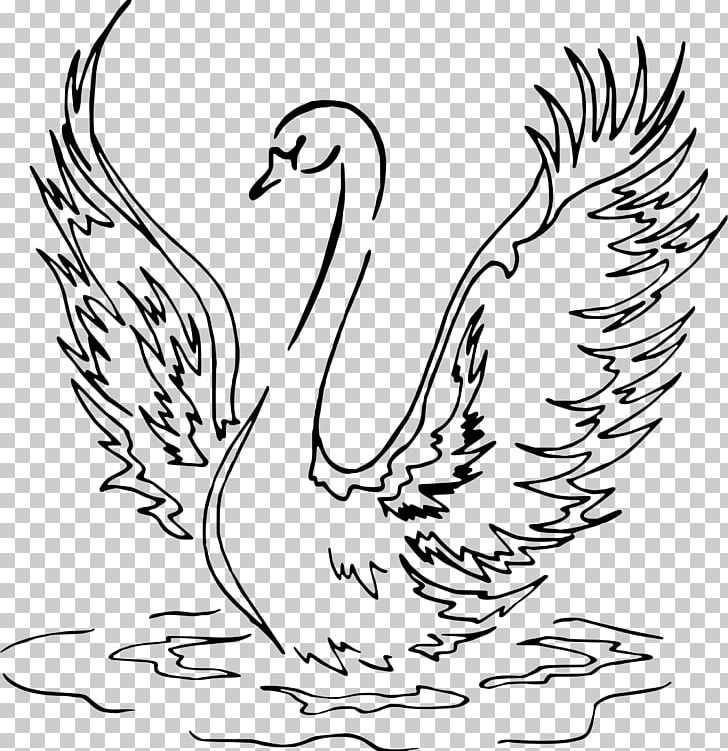 Drawing Line Art Bird Black Swan PNG, Clipart, Animals, Art, Artwork, Beak, Black And White Free PNG Download