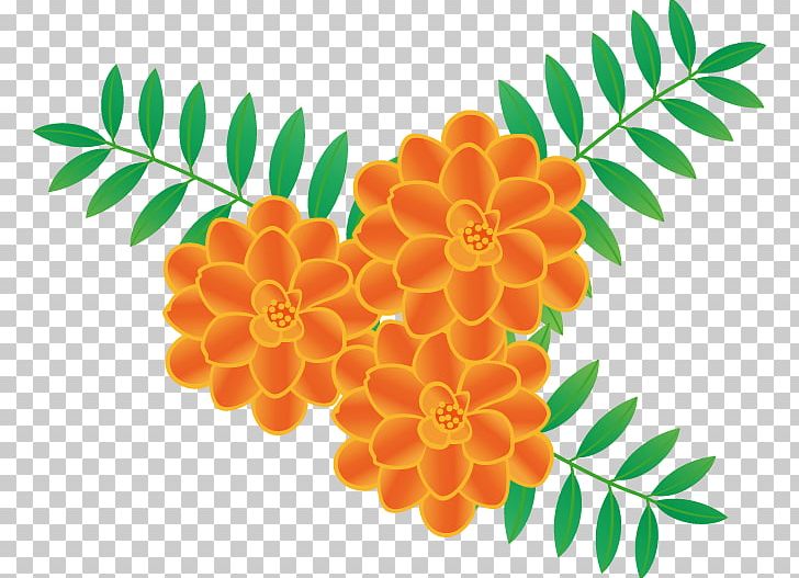 Flower Art Marigold PNG, Clipart, Art, Flower, Flowering Plant, Fruit, Marigold Free PNG Download
