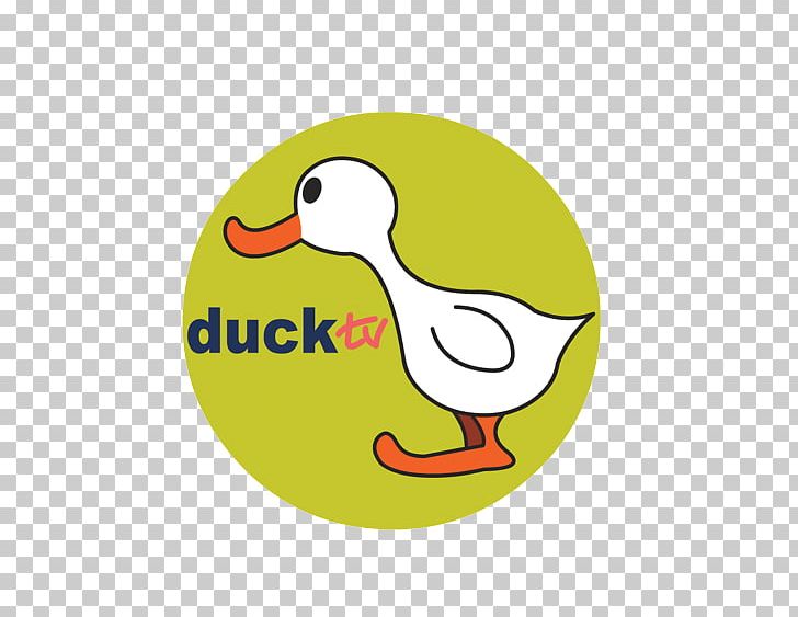 Television Channel Duck TV Television Show Logo PNG, Clipart, Beak, Bird, Discovery Familia, Dubai Tv, Duck Free PNG Download