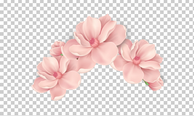 Pink Petal Flower Plant Headgear PNG, Clipart, Flower, Frangipani, Geranium, Hair Accessory, Hair Tie Free PNG Download