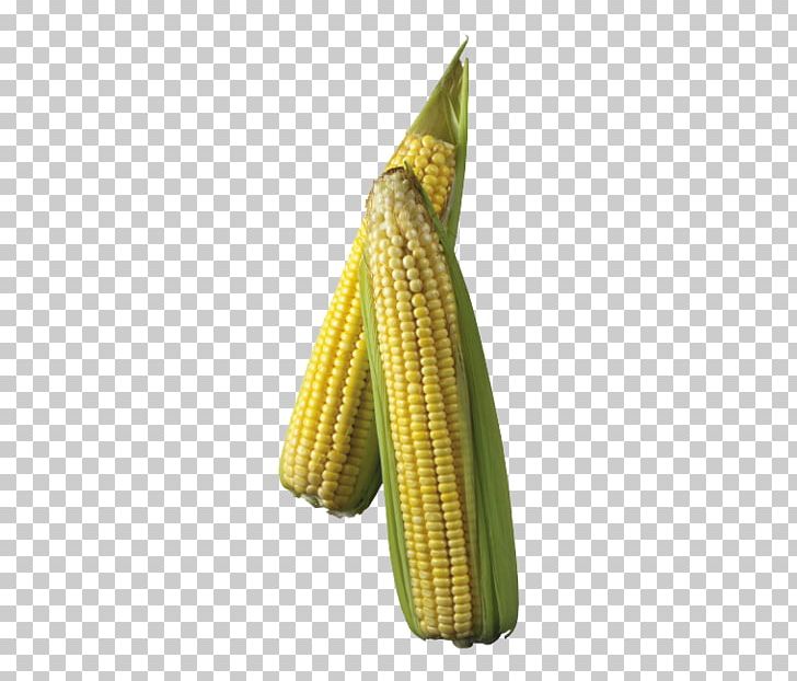 Maize Corn On The Cob PNG, Clipart, Commodity, Corn, Depositfiles, Download, Encapsulated Postscript Free PNG Download