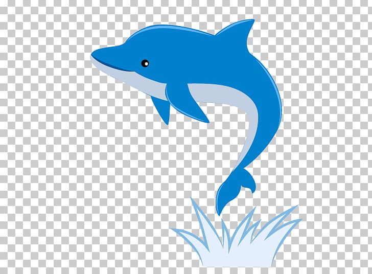 Common Bottlenose Dolphin Tucuxi Rough-toothed Dolphin Short-beaked Common Dolphin Cuteness PNG, Clipart, Blue, Common Bottlenose Dolphin, Cuteness, Desktop Wallpaper, Fauna Free PNG Download