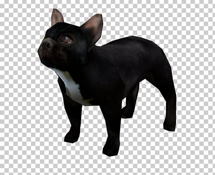 French Bulldog Boston Terrier Dog Breed Dachshund PNG, Clipart,  Free PNG Download