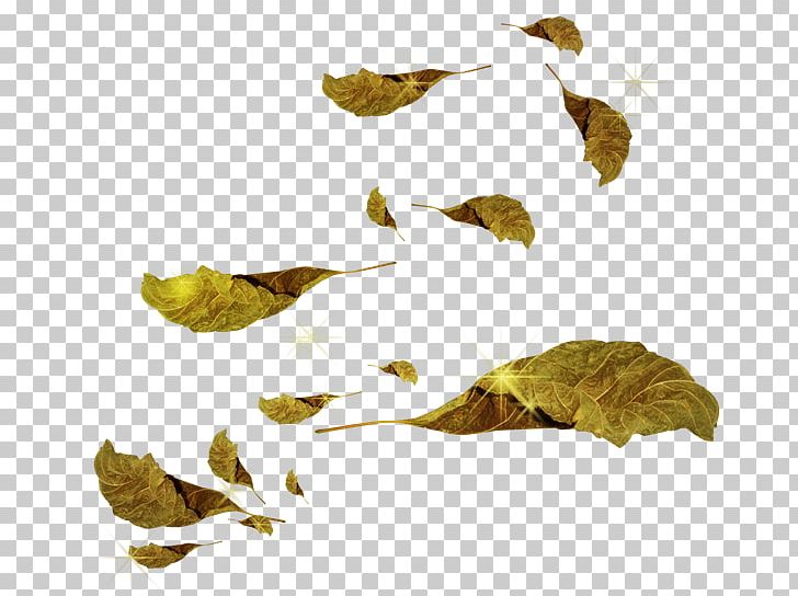 Leaf Autumn Artisans Libres PNG, Clipart, Author, Autumn, Branch, Collage, Computer Animation Free PNG Download