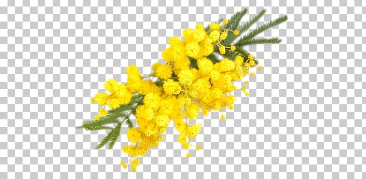 Province Of Chieti Party Polesine Camerini Culti Stile Room Diffuser PNG, Clipart, Birthday, Branch, Dish, Flower, Food Free PNG Download