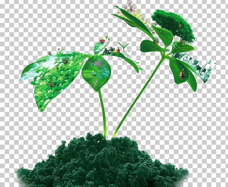 Soil Euclidean Plant PNG, Clipart, Autumn Tree, Christmas Tree, Download, Encapsulated Postscript, Euclidean Vector Free PNG Download