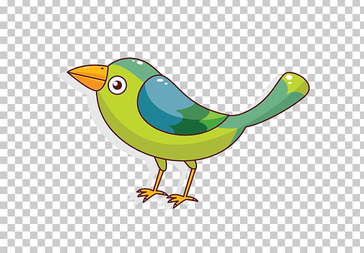 Bird Parrot Owl Cartoon PNG, Clipart, Animals, Background Green, Beak, Bird, Bird Cage Free PNG Download