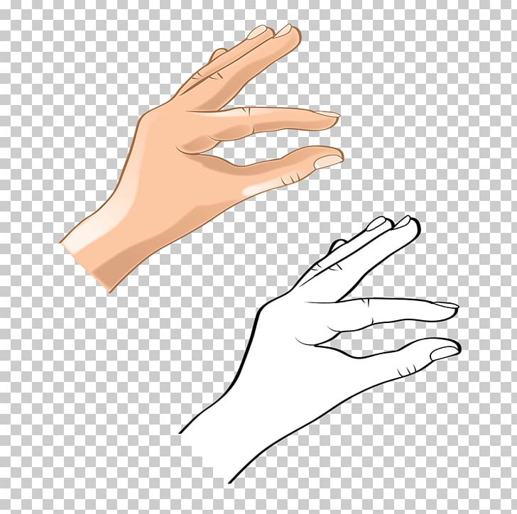 Hand Model Finger Thumb Arm PNG, Clipart, Arm, Finger, Hand, Hand Model, Line Free PNG Download