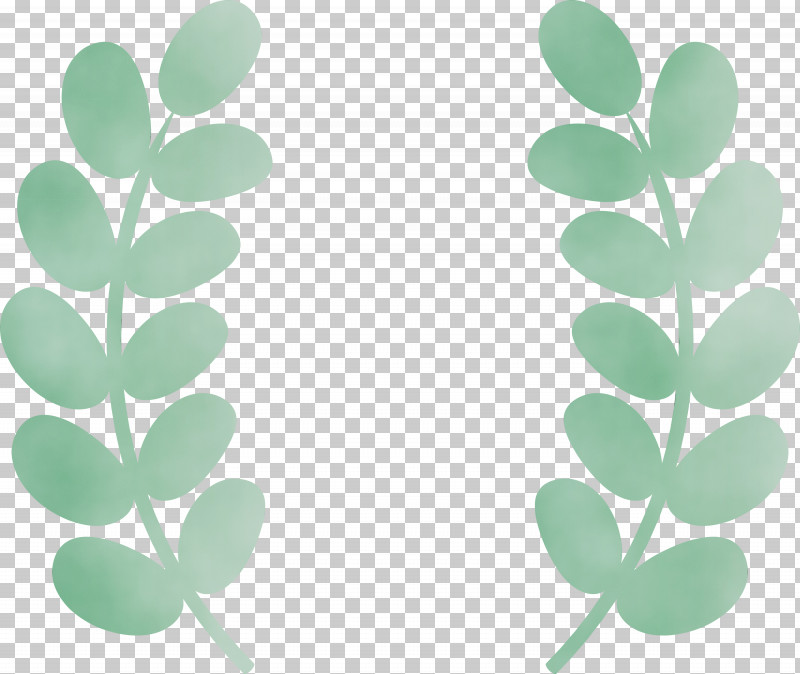 Leaf Plant Identification Green Meter Plants PNG, Clipart, Biology, Green, Leaf, Meter, Paint Free PNG Download