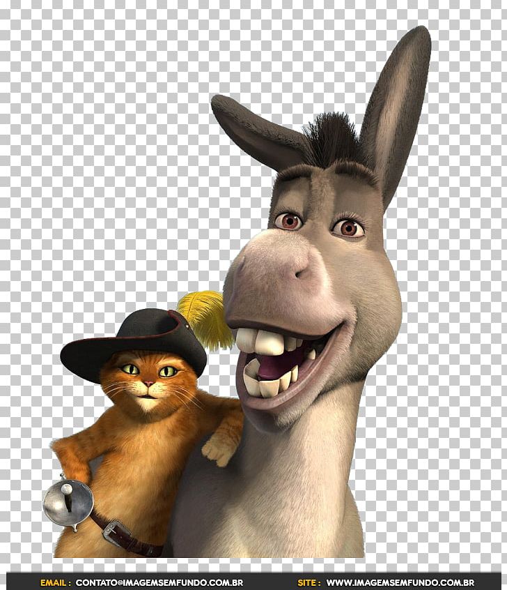 Donkey Adaptations Of Puss In Boots Princess Fiona Shrek PNG, Clipart, Adaptations Of Puss In Boots, Animals, Animated Film, Donkey, Donkey Shrek Free PNG Download
