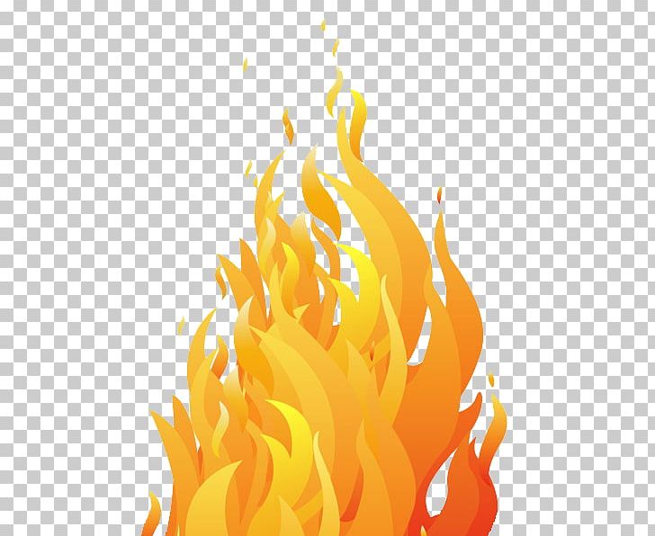 Fire Flame PNG, Clipart, Colored Fire, Combustion, Computer Wallpaper, Fire, Flame Free PNG Download
