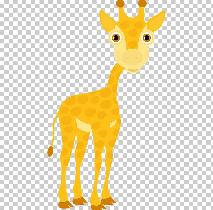 Giraffe Portable Network Graphics Graphics PNG, Clipart, Animal Figure, Animals, Carnivoran, Cartoon, Download Free PNG Download