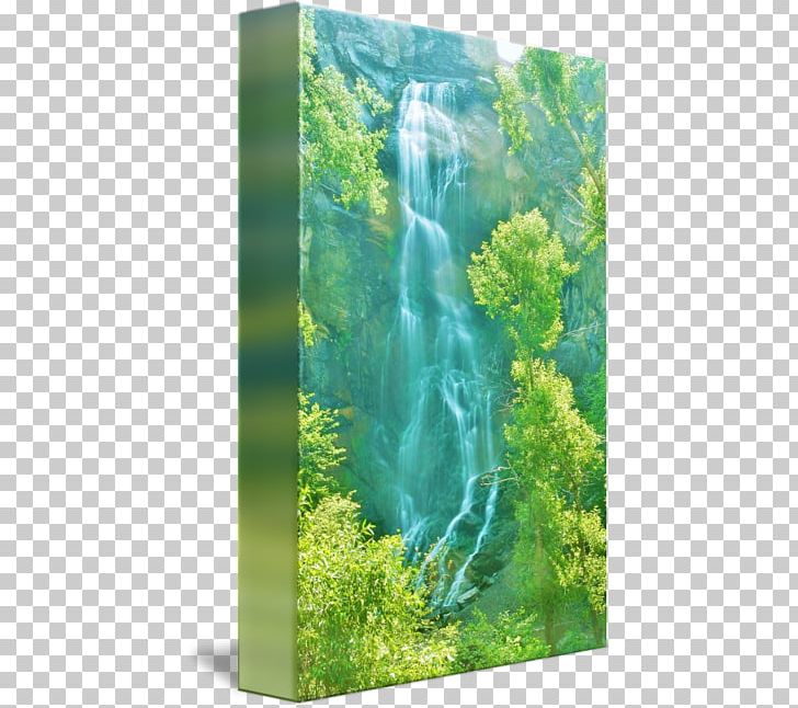 Nature Reserve Water Resources Biome Waterfall Vegetation PNG, Clipart, Biome, Bridal Veil, Chute, Ecosystem, Grass Free PNG Download