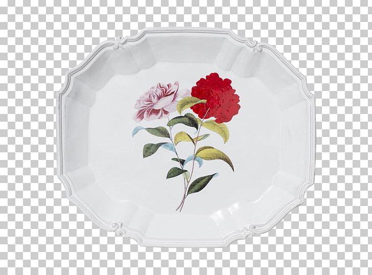 Petal Rose Family Cut Flowers PNG, Clipart, Cut Flowers, Dishware, Family, Flower, Flowering Plant Free PNG Download