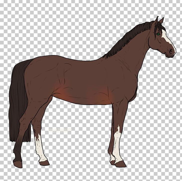 Stallion Pony Mustang Mare PNG, Clipart, Animaatio, Bay, Black, Bridle, Colt Free PNG Download
