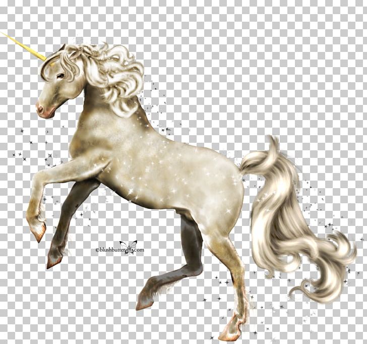 Unicorn Horse Legendary Creature PNG, Clipart, Art, Download, Drawing, Fantasy, Fictional Character Free PNG Download