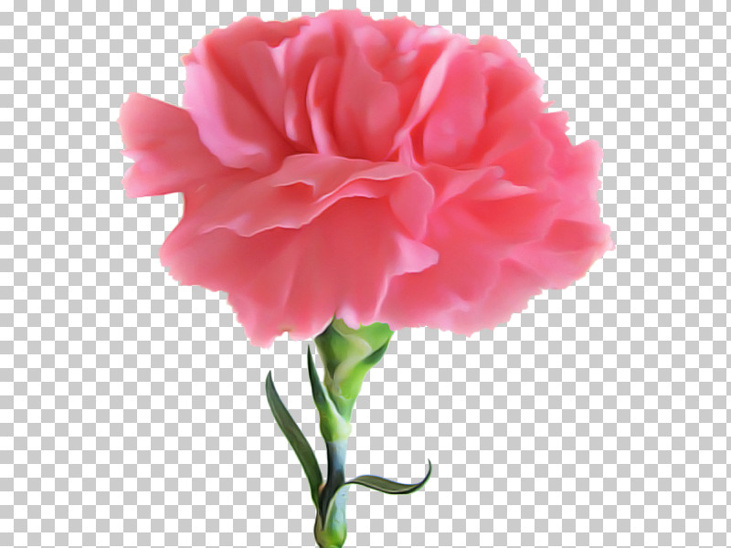 Flower Bouquet PNG, Clipart, Artificial Flower, Birth Flower, Carnation, Cut Flowers, Floral Design Free PNG Download