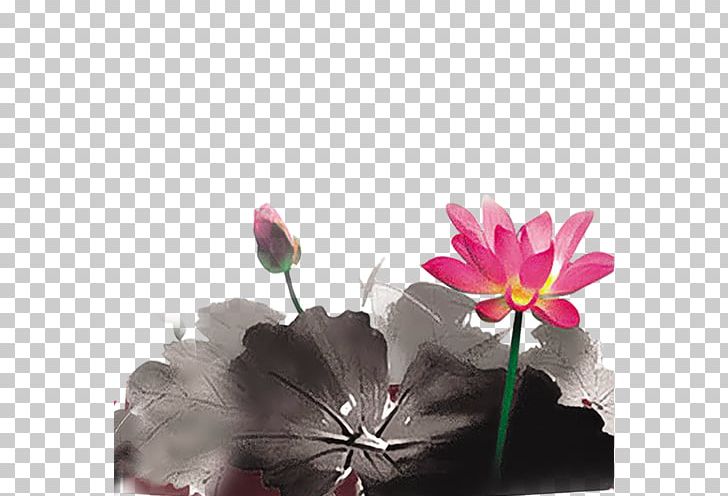 Ink Wash Painting Nelumbo Nucifera PNG, Clipart, Aquatic Plant, Chinese, Computer Wallpaper, Flower, Golden Lotus Free PNG Download