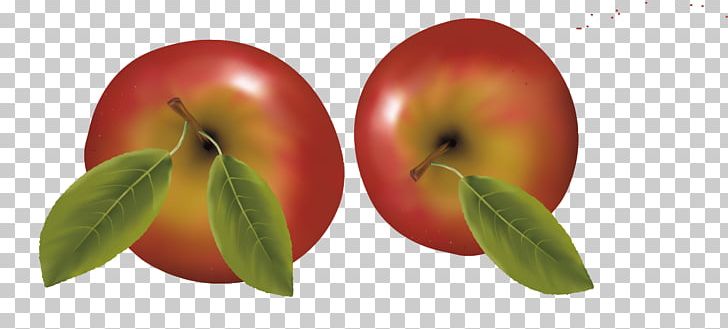 Apple Fuji Food PNG, Clipart, Apple, Apple Fruit, Apple Logo, Apples Vector, Apple Tree Free PNG Download