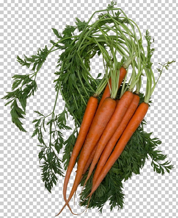 Baby Carrot Food Beetroot Orange Vitamin PNG, Clipart, Antioxidant, Baby Carrot, Beetroot, Betacarotene, Carotene Free PNG Download