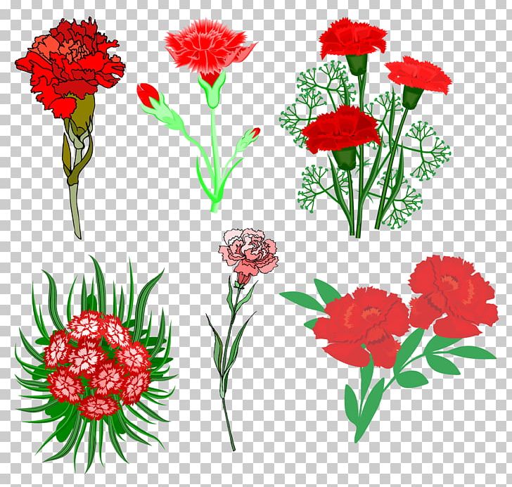 Polka Hall Of Fame Cut Flowers Carnation PNG, Clipart, Animation, Annual Plant, Art, Carnation, Computer Icons Free PNG Download