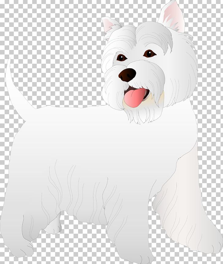 West Highland White Terrier Dog Breed Puppy Companion Dog PNG, Clipart, Animal, Animals, Breed, Canidae, Carnivora Free PNG Download