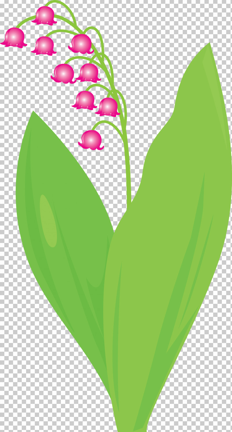 Lily Bell Flower PNG, Clipart, Anthurium, Flower, Green, Heart, Leaf Free PNG Download
