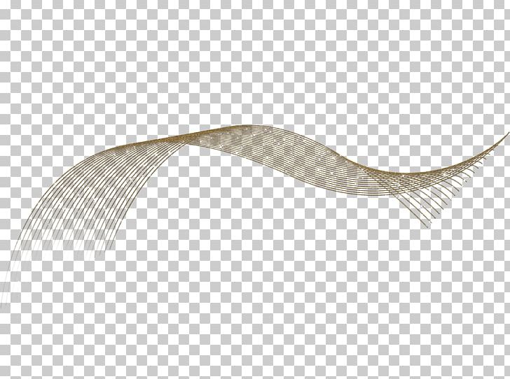 Angle PNG, Clipart, Angle, Art, Veil, Wing Free PNG Download